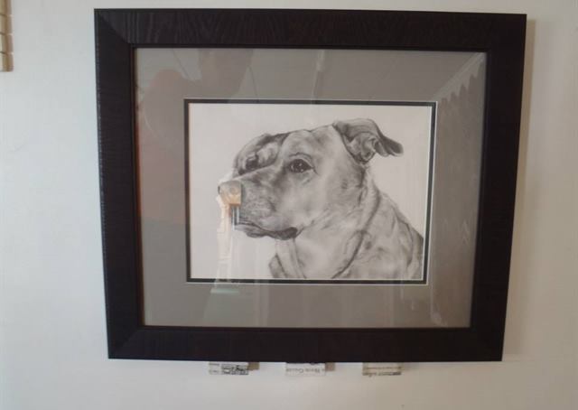 Framed collectible in a custom shadow box
